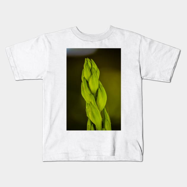 Giant Stalk Kids T-Shirt by srosu